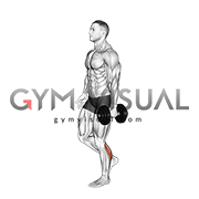 db calf raise.gif