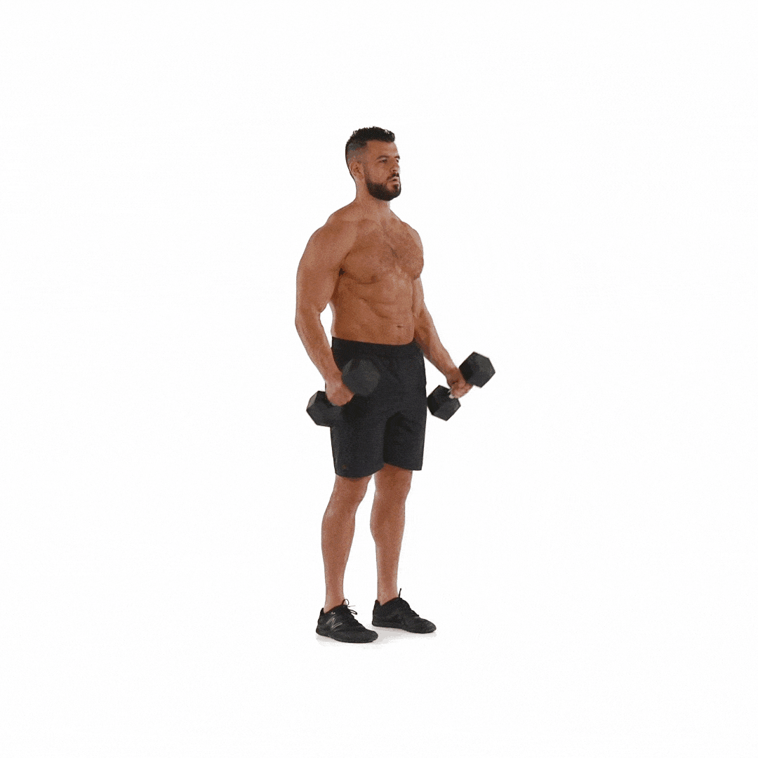 hammercurl-1456956209.gif