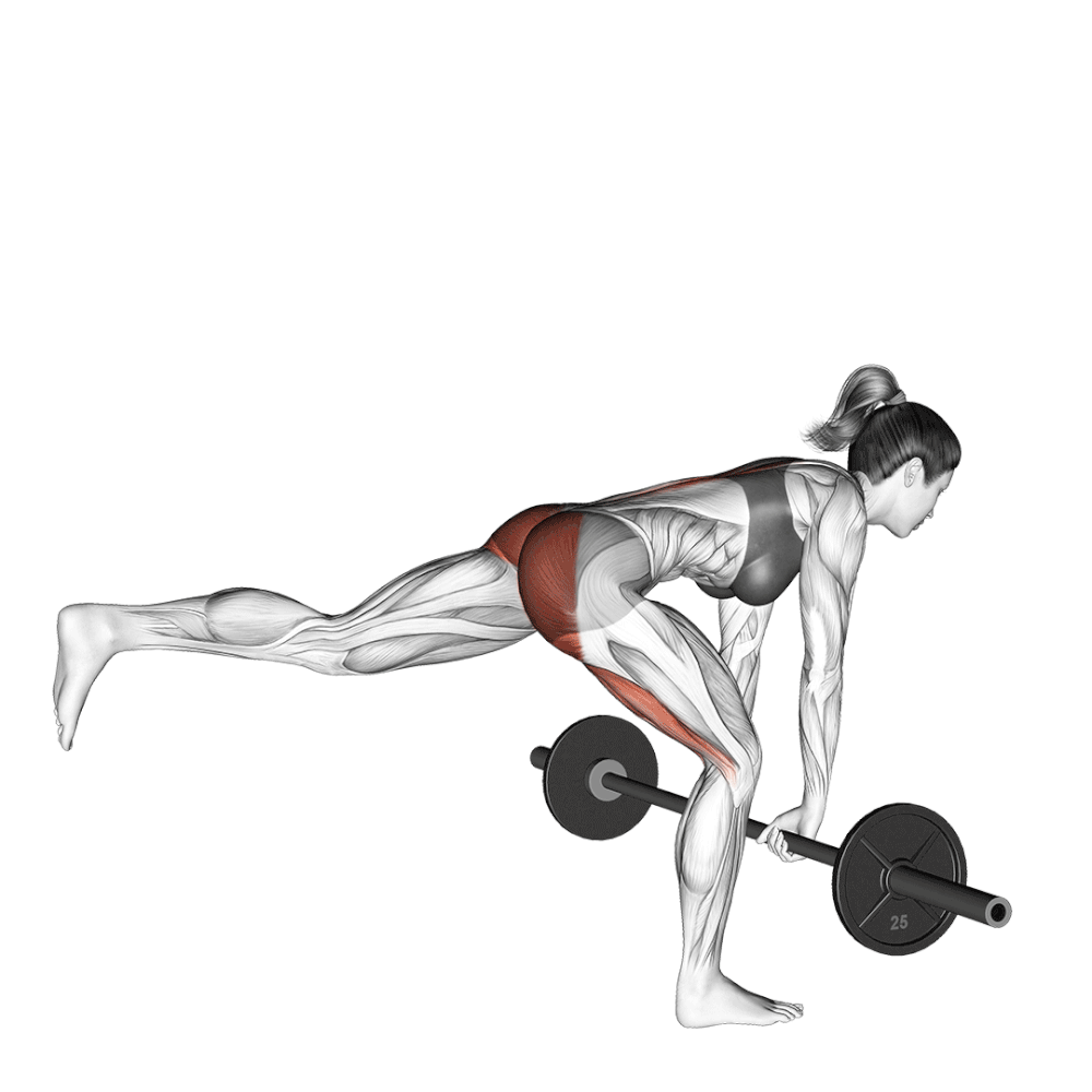 barbell-single-leg-deadlift.gif