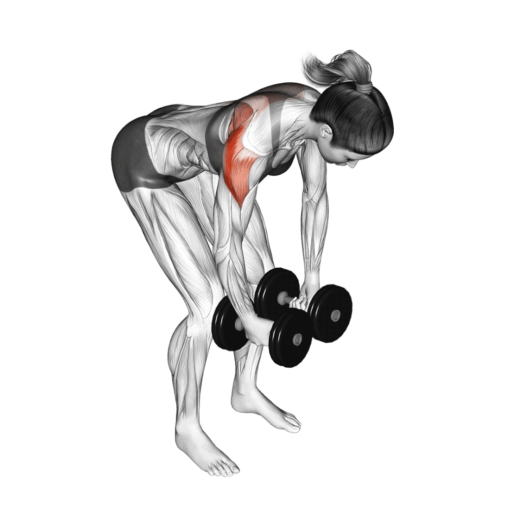 dumbbell-rear-delt-fly.gif