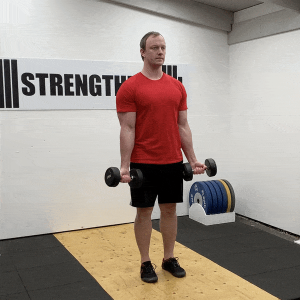 DB curl.gif