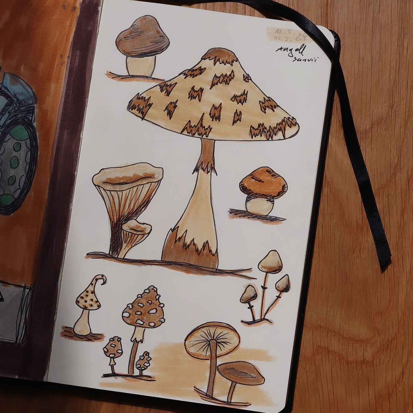Currently practicing drawing mushrooms 🍄

#artpractice #drawing #artist #sketchbookart #sketchbookpractice #mooshroomart