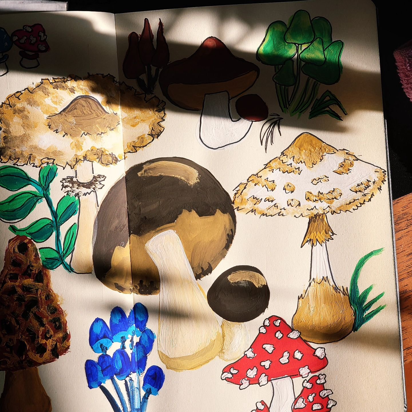 Even more mushrooms! 🍄 Are you fed up with them already? This time is tested Himi gouache that I just bought.

#art #mushroomart #himigouache #artpractice #sketchbookpainting #sketchbookpractice #mushroompainting #gellygouache