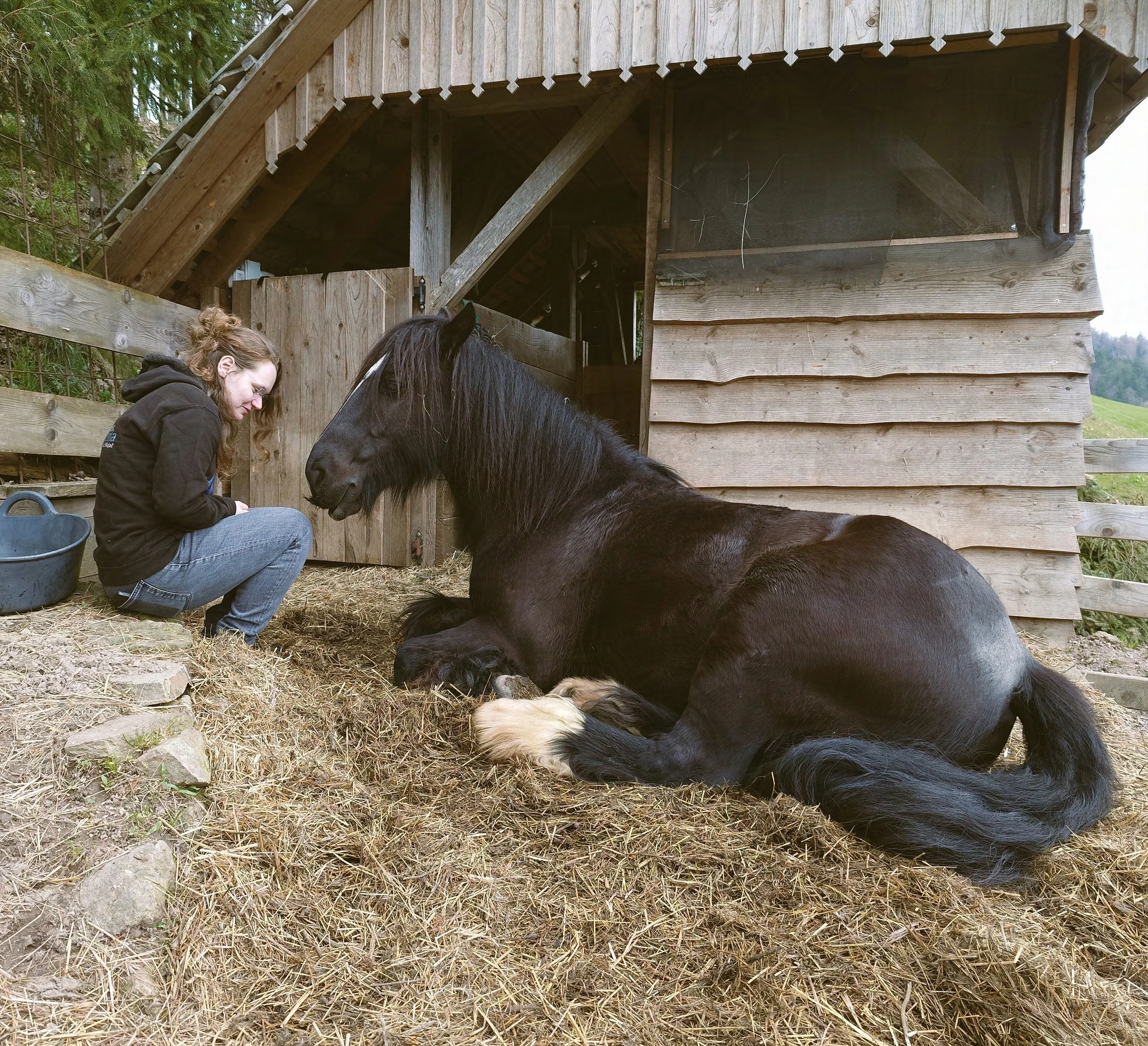 Artist sitting next to her black horse Kelpie