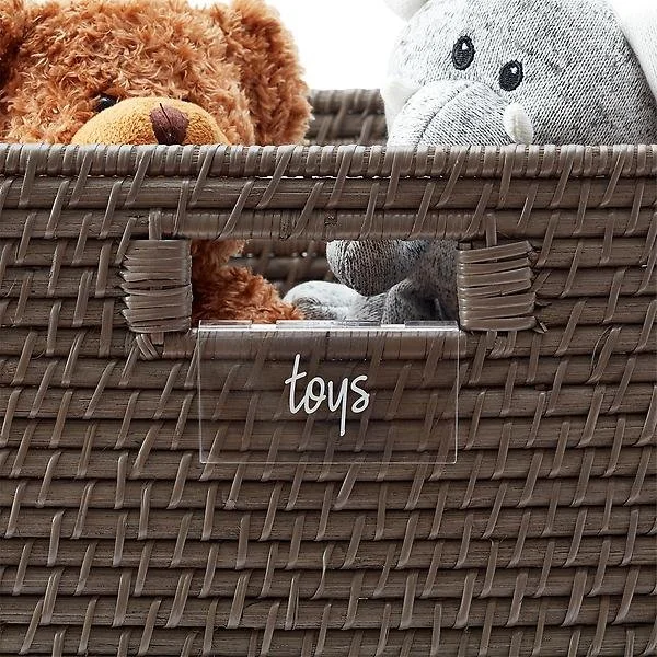 Container Store Home Edit Clear Bin Clips