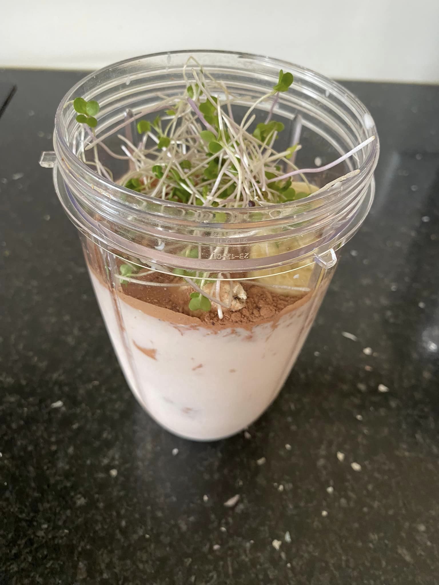 Sprouts in a smoothie.jpeg