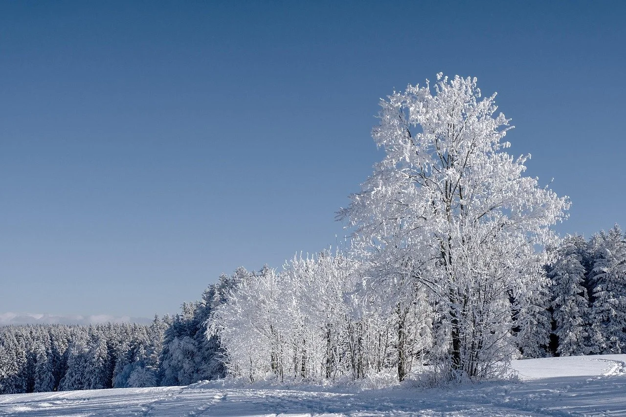 Hello Winter