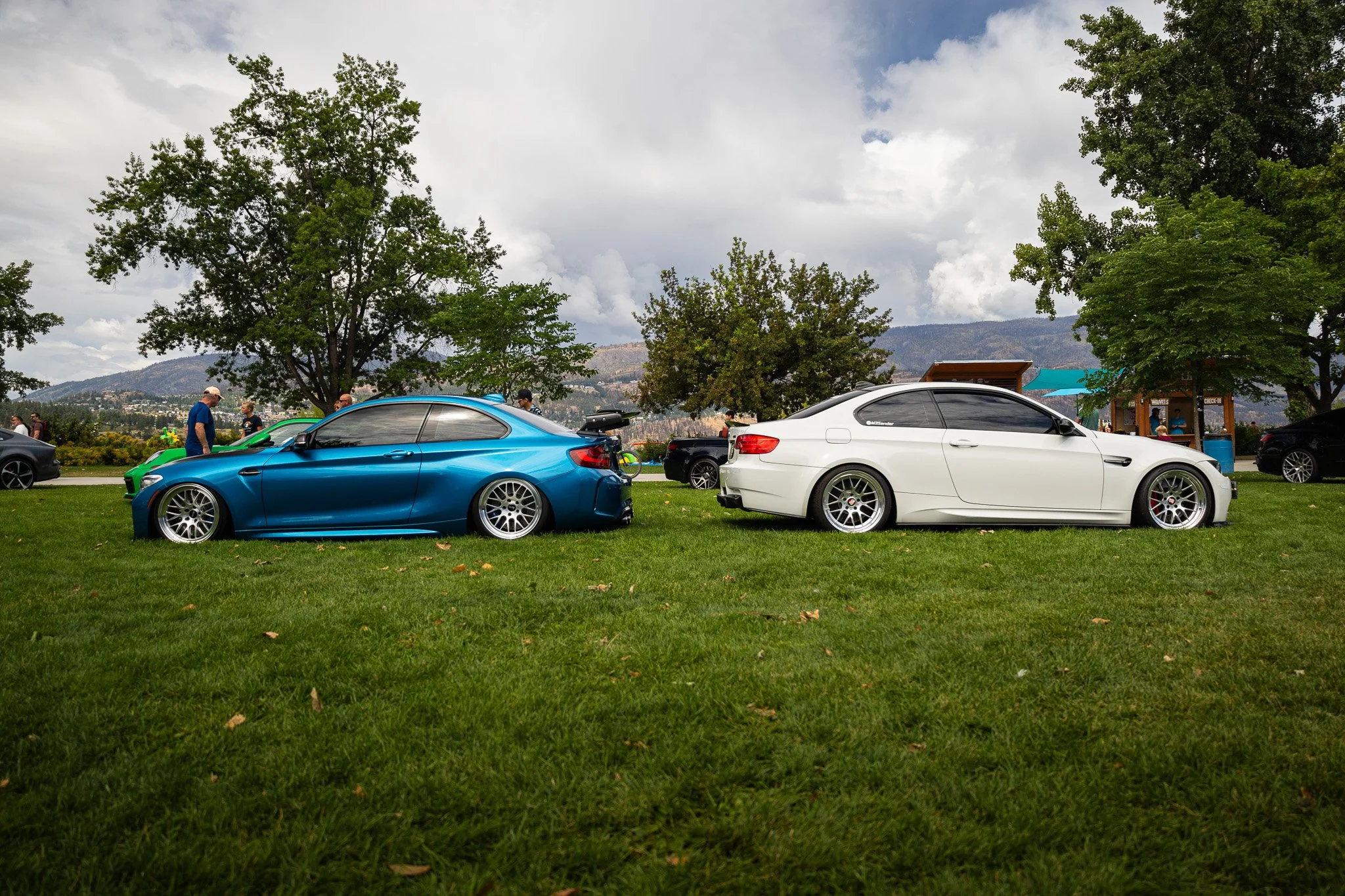 IMG_7823.jpg