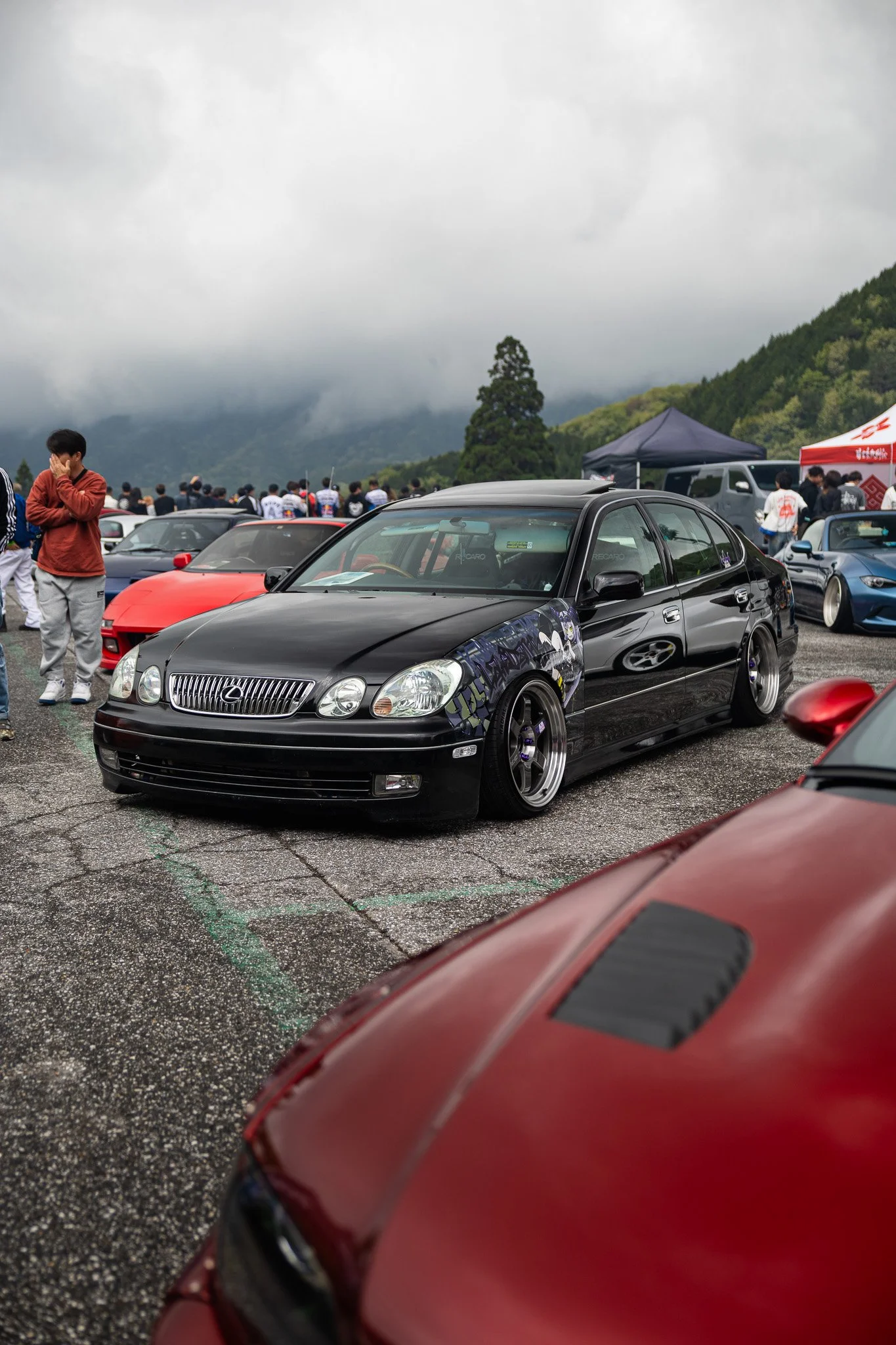 IMG_4529.jpg
