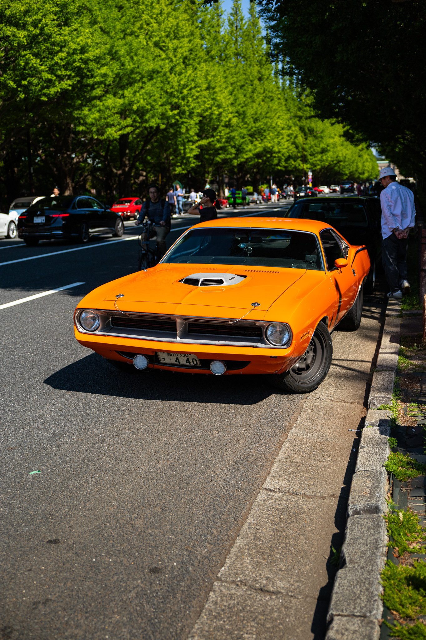 IMG_5786.jpg