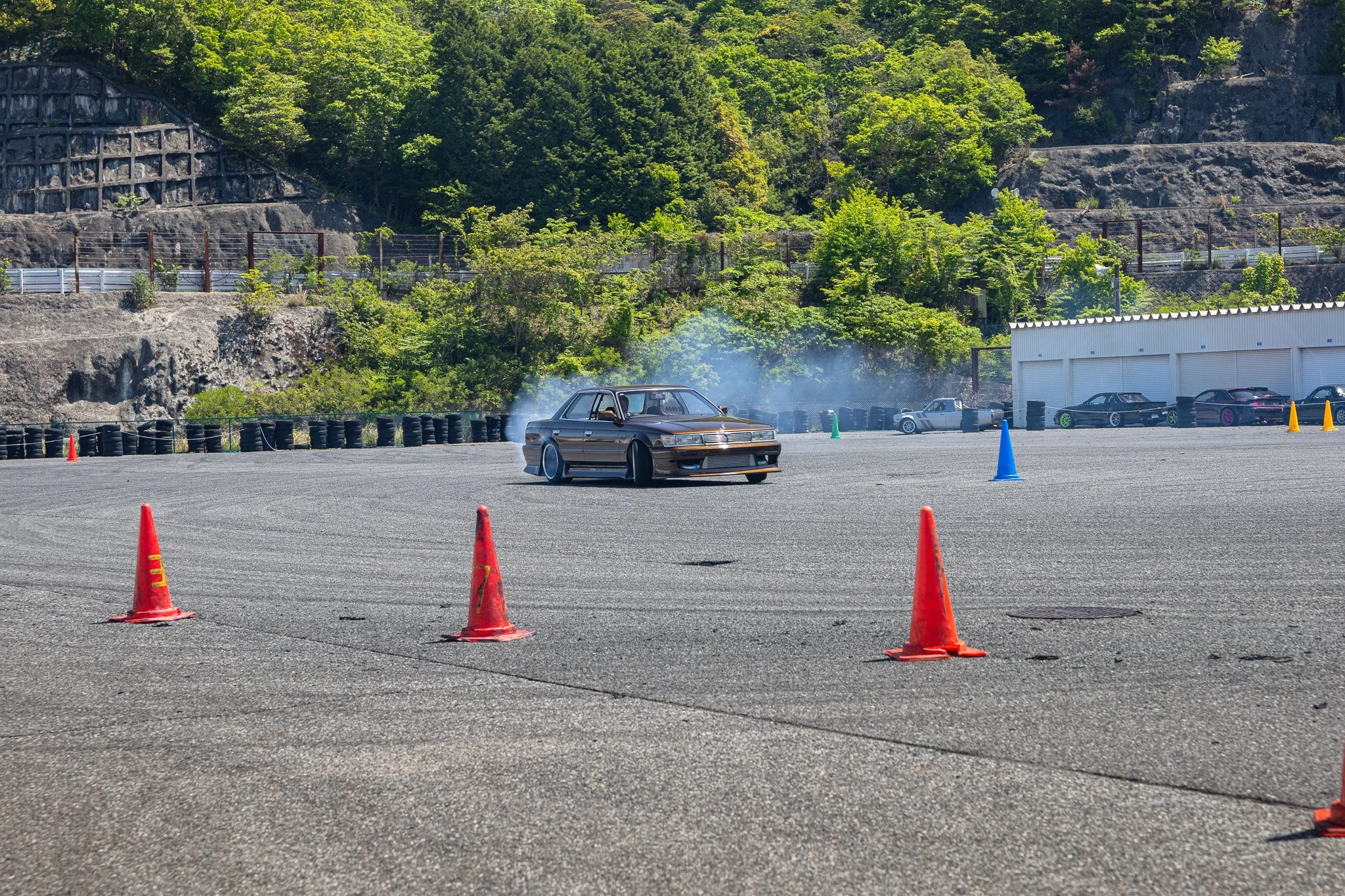 IMG_5164.jpg