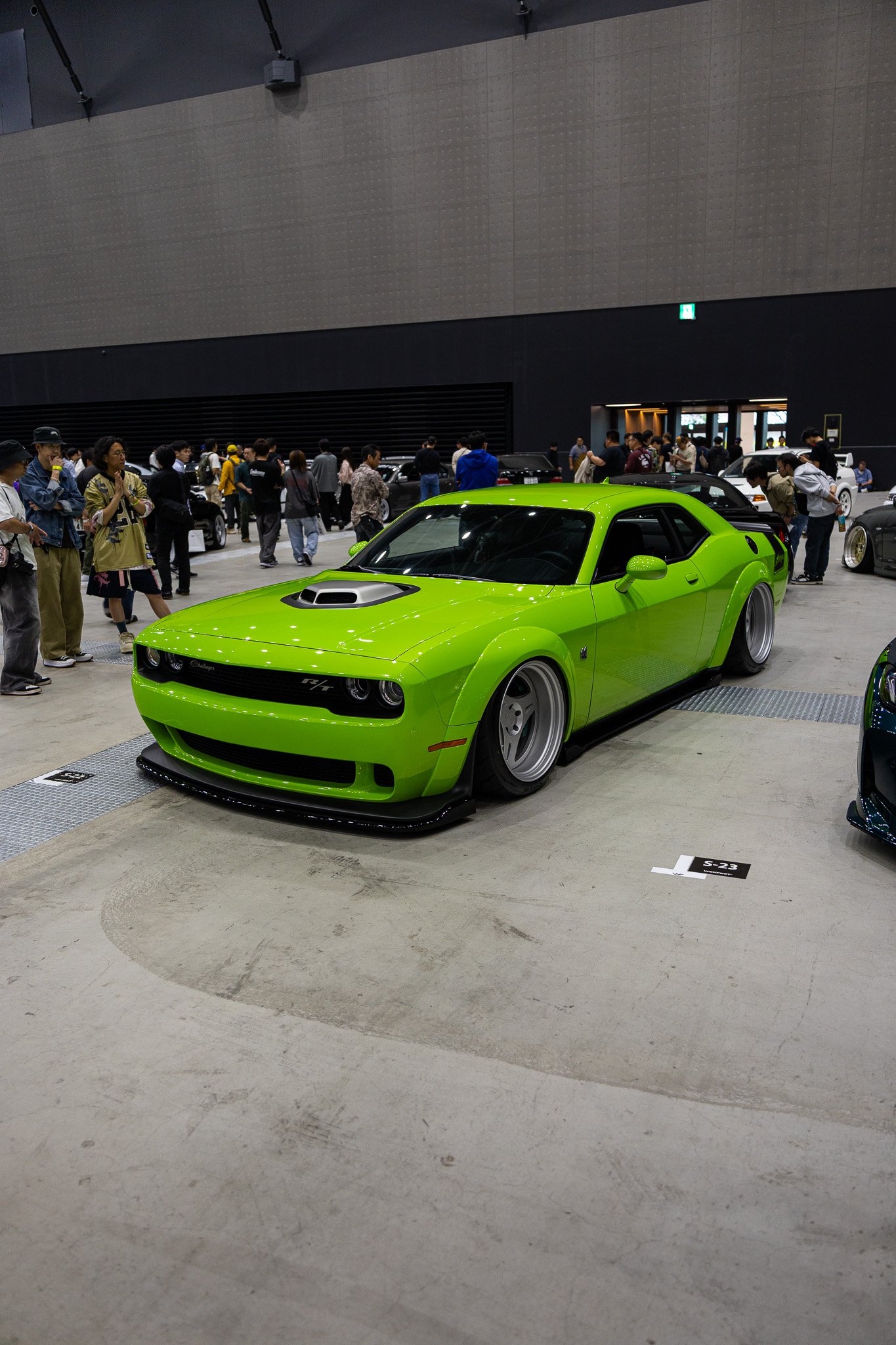 IMG_4225.jpg