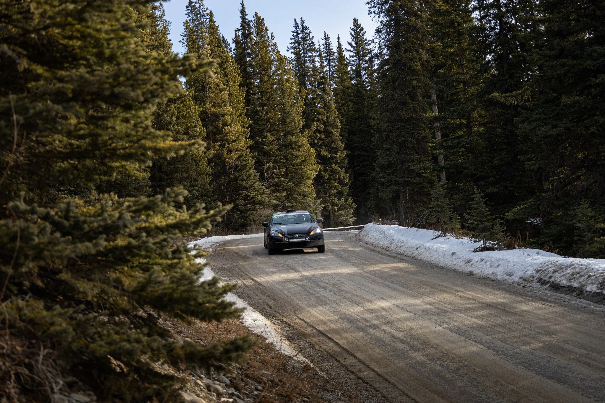 IMG_5591.jpg