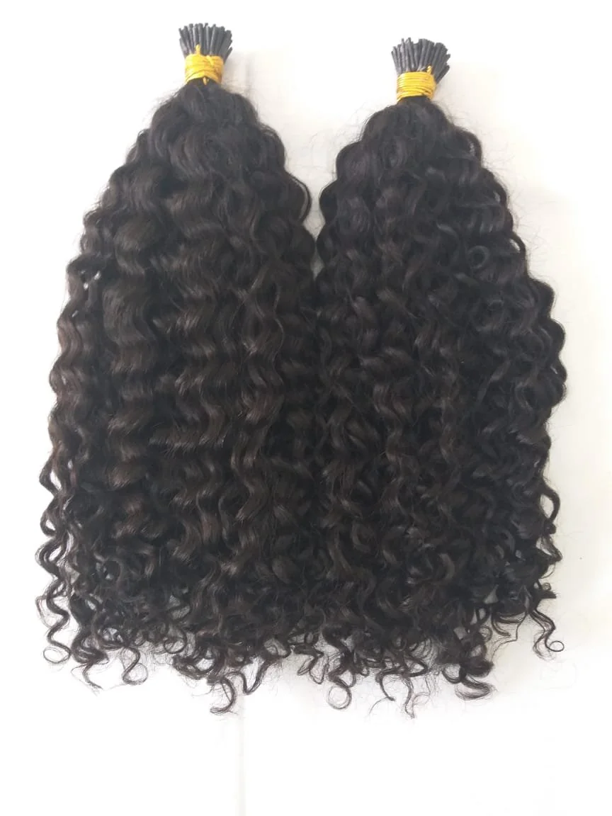 Raw Burmese Curly