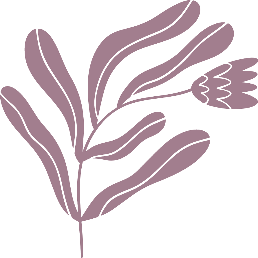 An illustration of a pink tulip