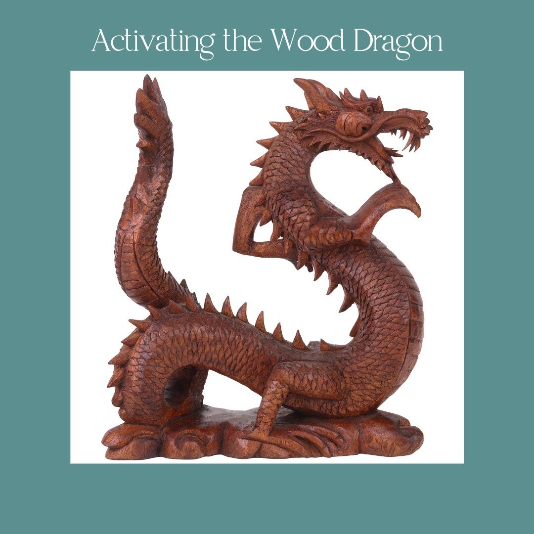 This is the Year of the Wood Dragon in the Chinese New Year and it holds some unique qualities for each of us. When we create a conscious connection with the vibration it holds, we can begin to embody the power and abundance it offers. As we embody t