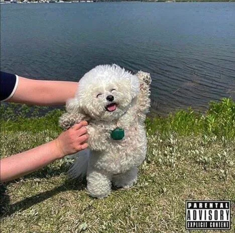 Blu, MED &amp; Bane Capital - Their Thing feat. Knowledge The Pirate