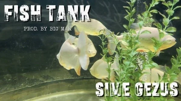 Sime Gezus - Fish Tank (Official Video)