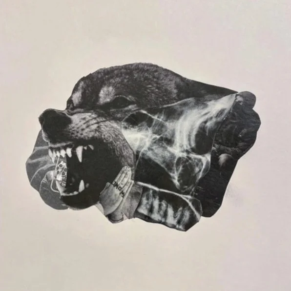Snotty - Wolves Don't Wear Collars 