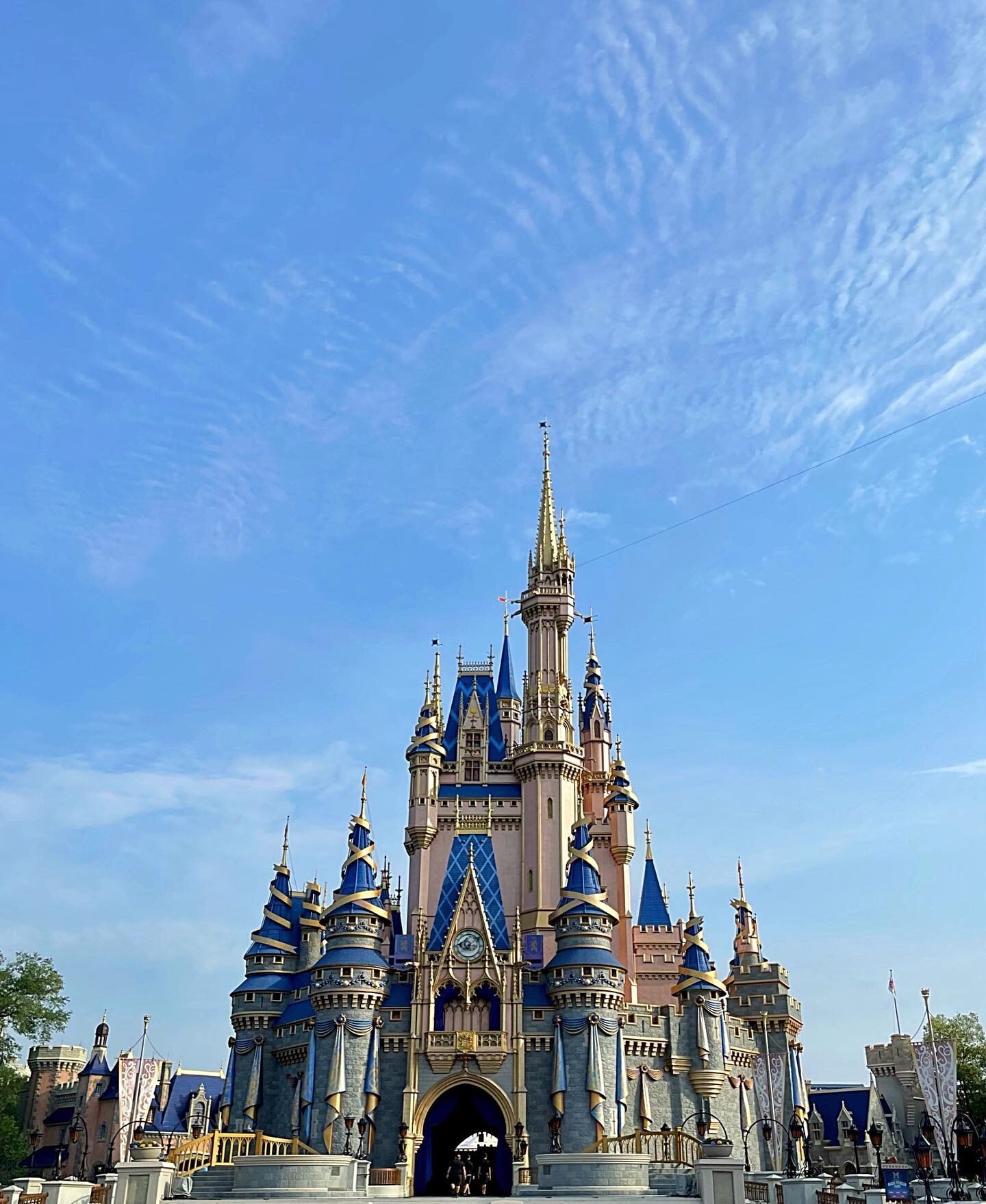 Planning a visit to the Sunshine State to enjoy the magic of @waltdisneyworld? ✨

But didn't realize how complicated it is? We totally get that.

Let @alwayselsewhere_ help demystify the Disney planning process so you don't have to research which par