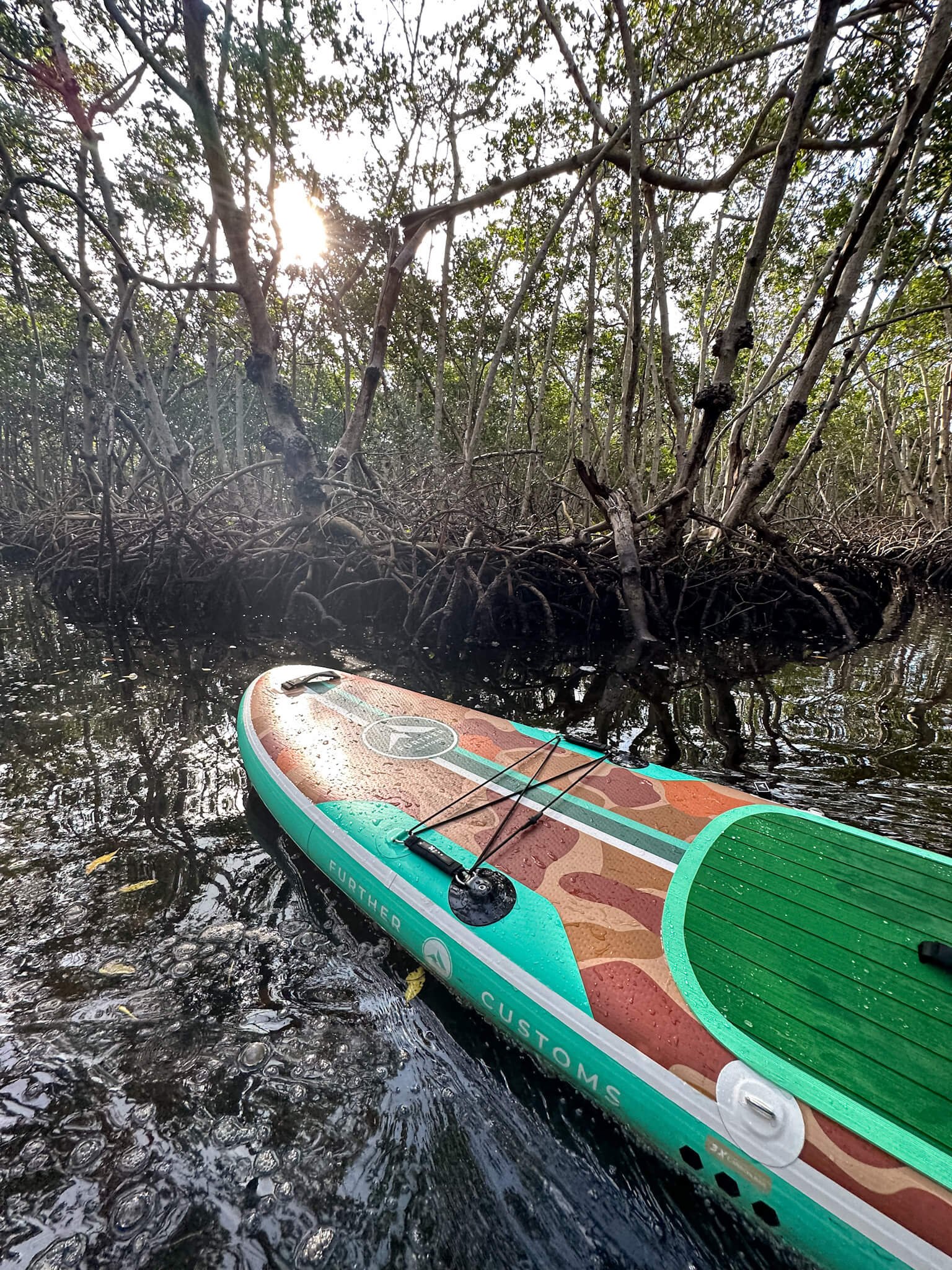 Further-Customs-Paddleboard-Florida-Lido-Key-Mangroves-Tamarack-Closeup.jpg