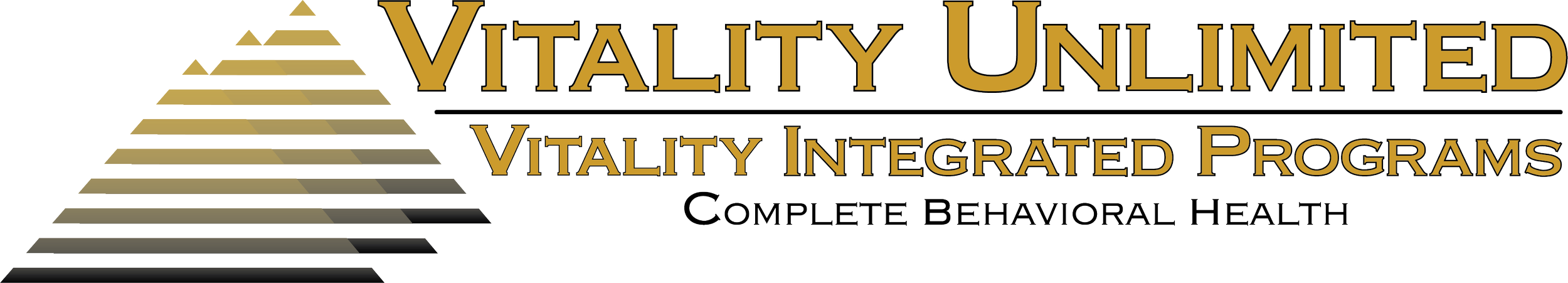 Logo for Vitality Unlimited, a behavioral health company, featuring a pyramid graphic and the text 'Vitality Unlimited' and 'Vitality Integrated Programs, Complete Behavioral Health'