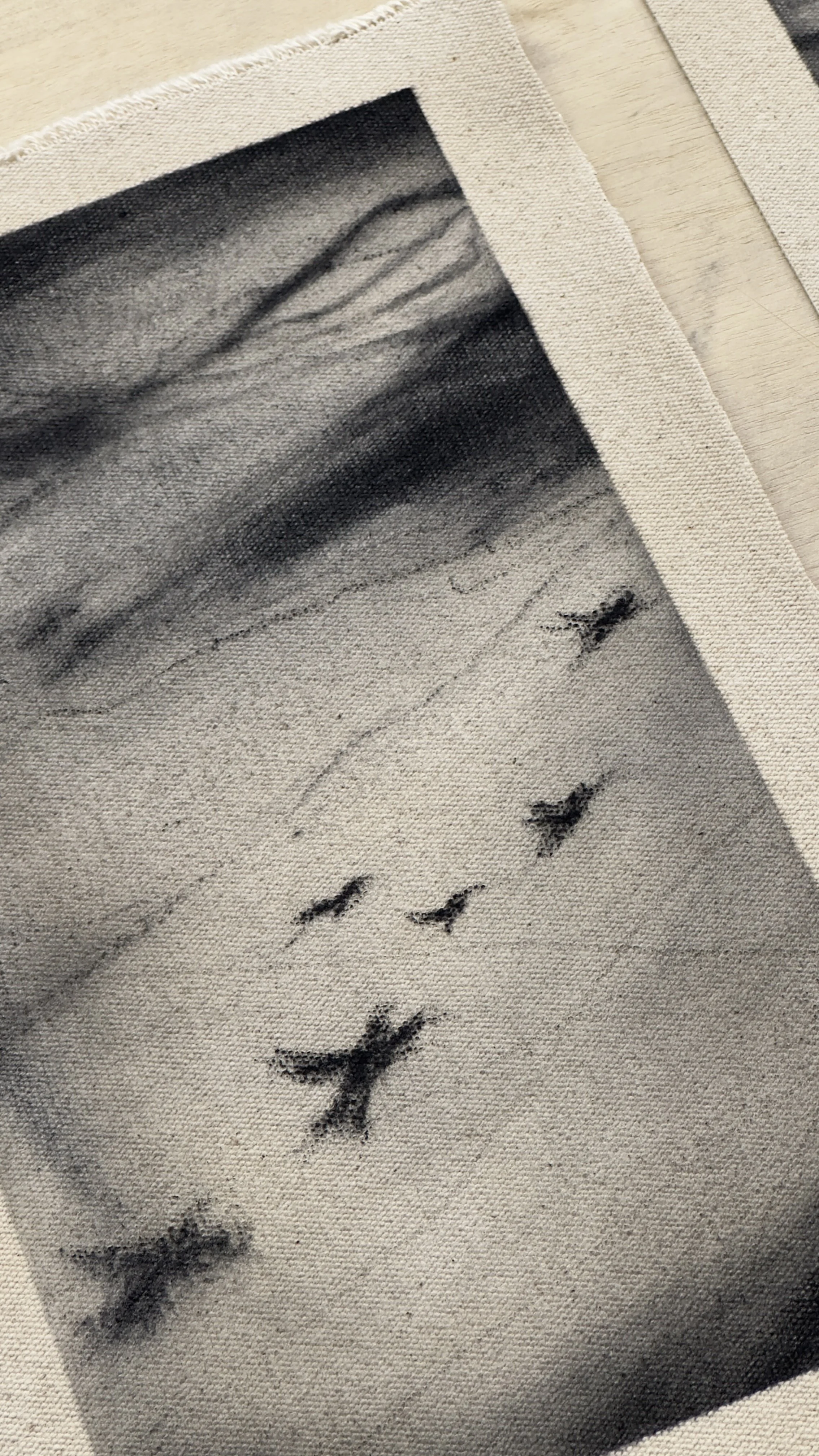 Charcoal on raw canvas