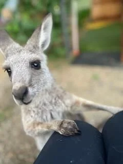 4c7cc2ee-cd6c-43f9-b5a3-a515383f8ded 6.jpeg