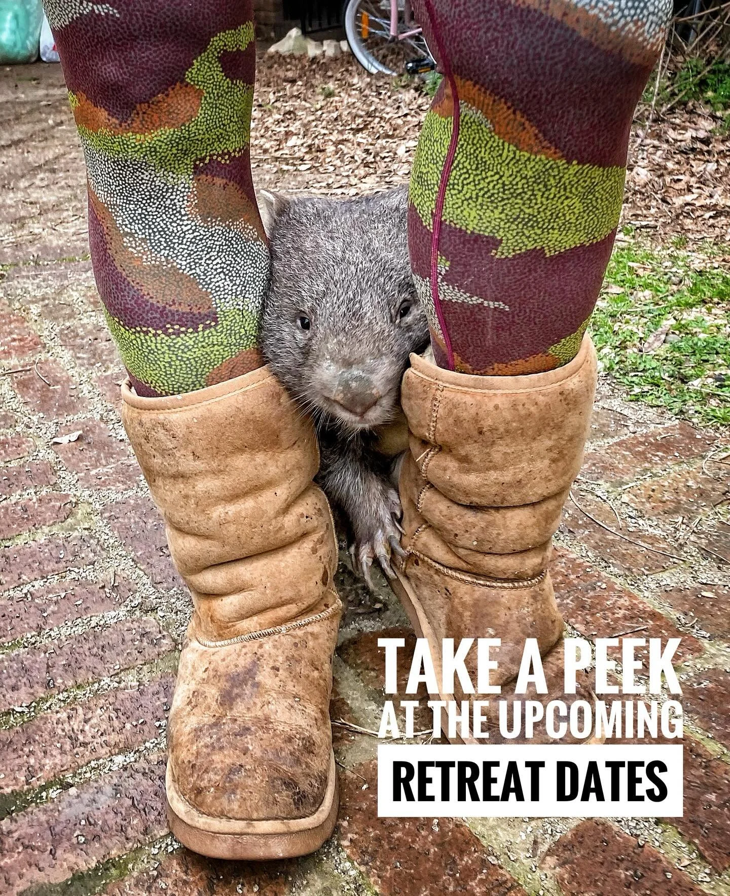 New retreat dates are up.

Please visit link in bio or littlefarmofcalm.com for details and info. #littlefarmofcalm #yoga #retreat #wellness #wildlife #benalla #redlighttherapy #spa #sauna #massage #weekendgetaway #greatpeople #goodfood #reset #recov