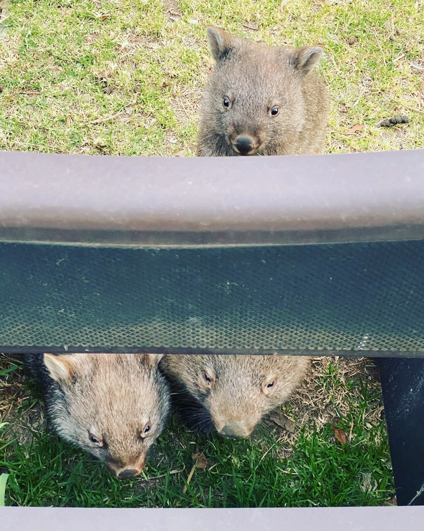 2025 is nearly at an end and 2026 will soon be upon us (or maybe it already is by the time you read this?)

Make no mistake that life will throw obstacles in your path in the new year, just like it probably has in this one.

So let us all learn from 