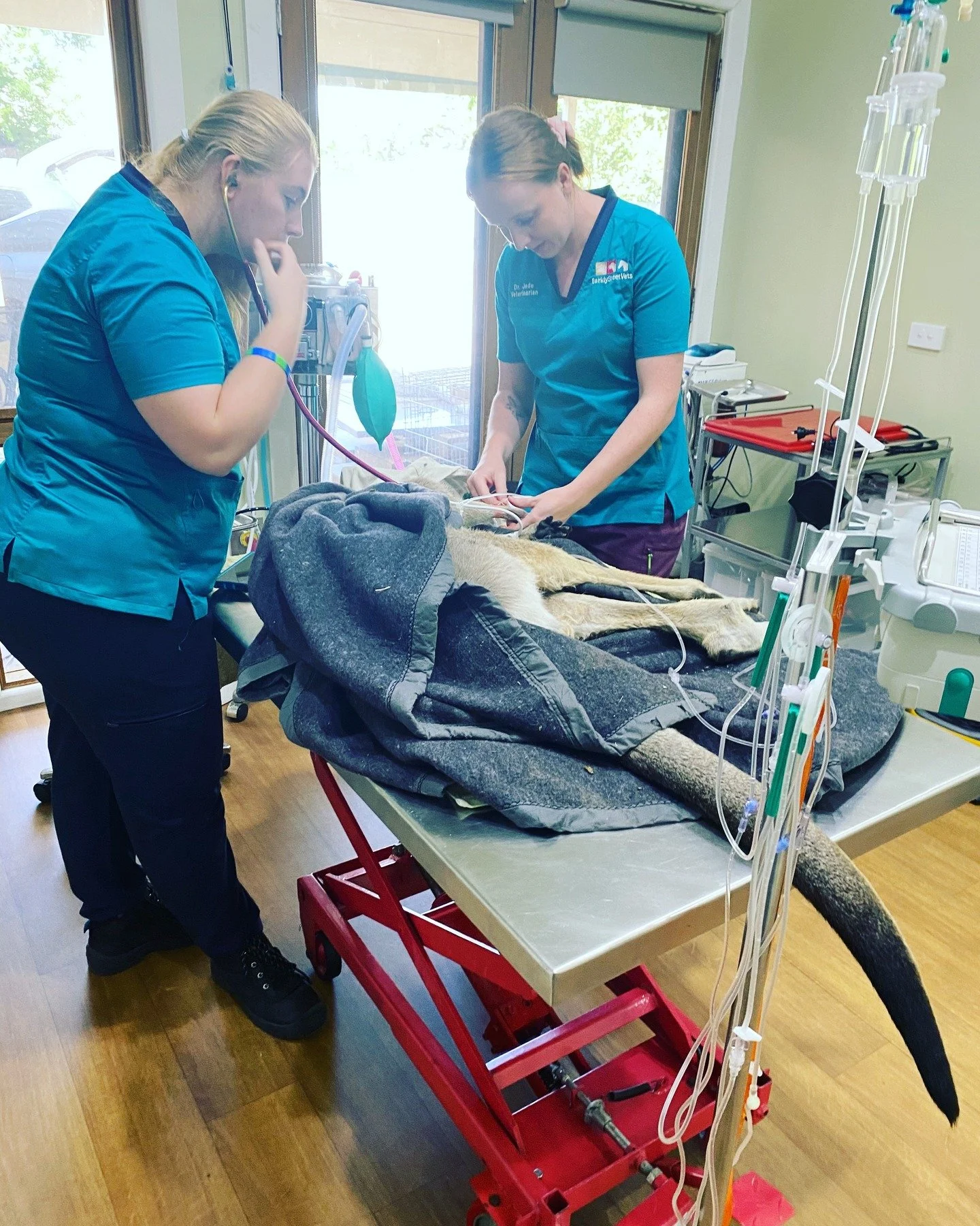 We see horrible things every day and we get pretty good (for the most part), at compartmentalising our feelings. We know when the kindest thing is to let them go.

But this one is so very close to the heart. And tbh it's been a really crappy day. Tha