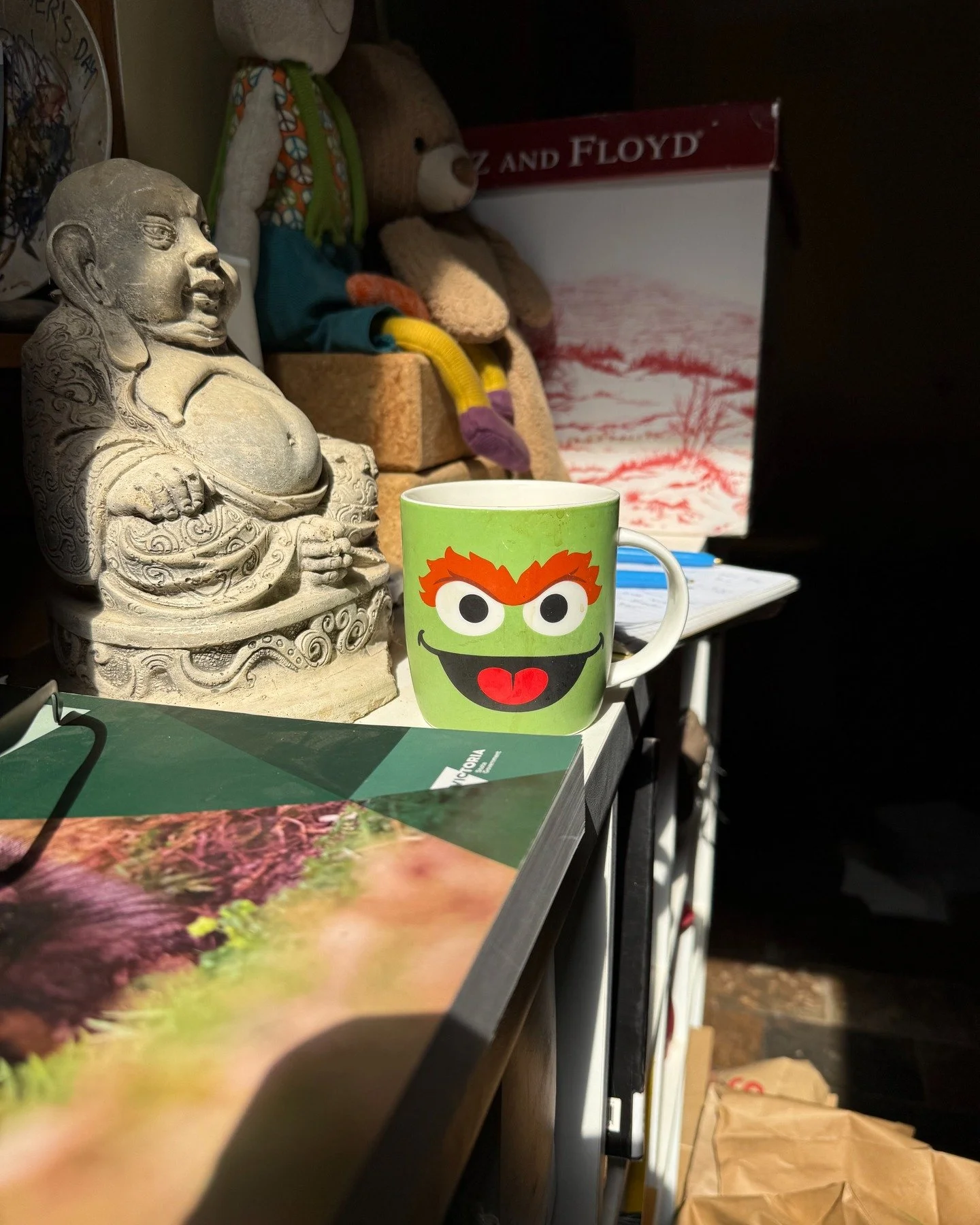 The perfect summary of our morning so far ...

✔ Coffee
✔ To do list
✔ Promise of help from above
✔ Christmas decorations (still out)
✔ DEECA manual (Wildlife guidelines)
✔ Ah. That's where my glasses are ...
✔ Oscar the Grouch - professional mentor
