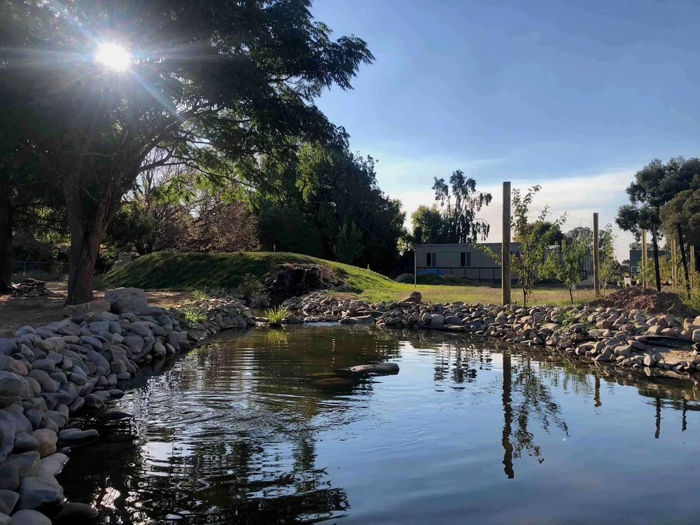 The pond and grounds at Little Farm of Calm, Benalla Victoria