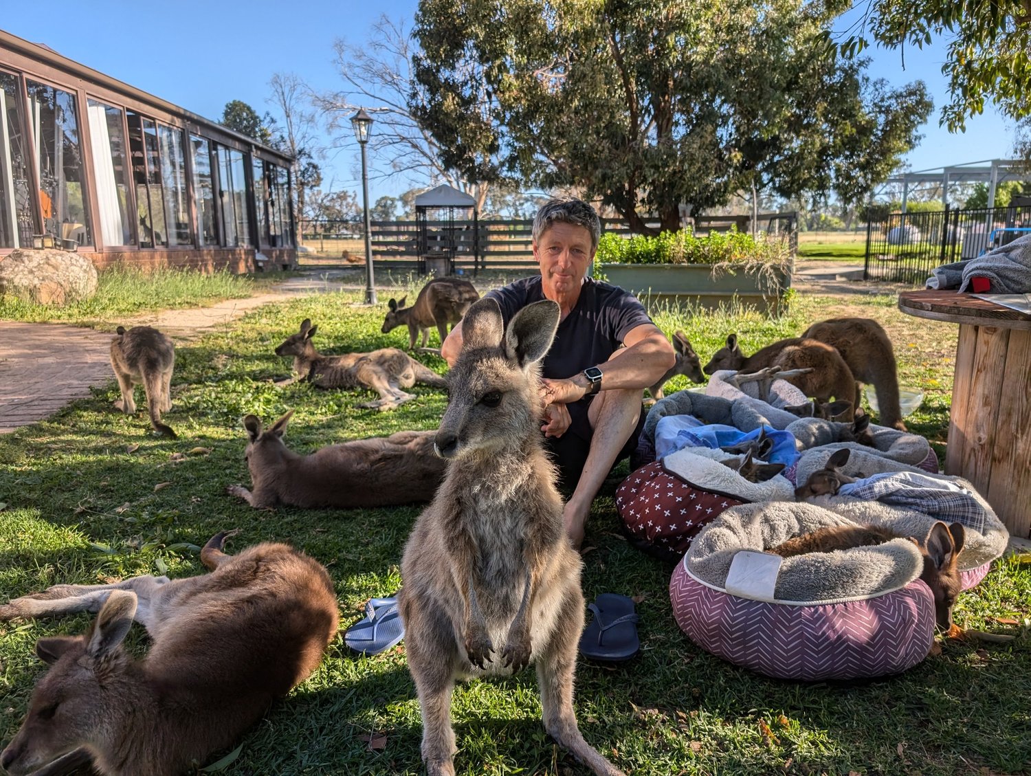 Darren surrounded by kangaroos at Little Farm of Calm