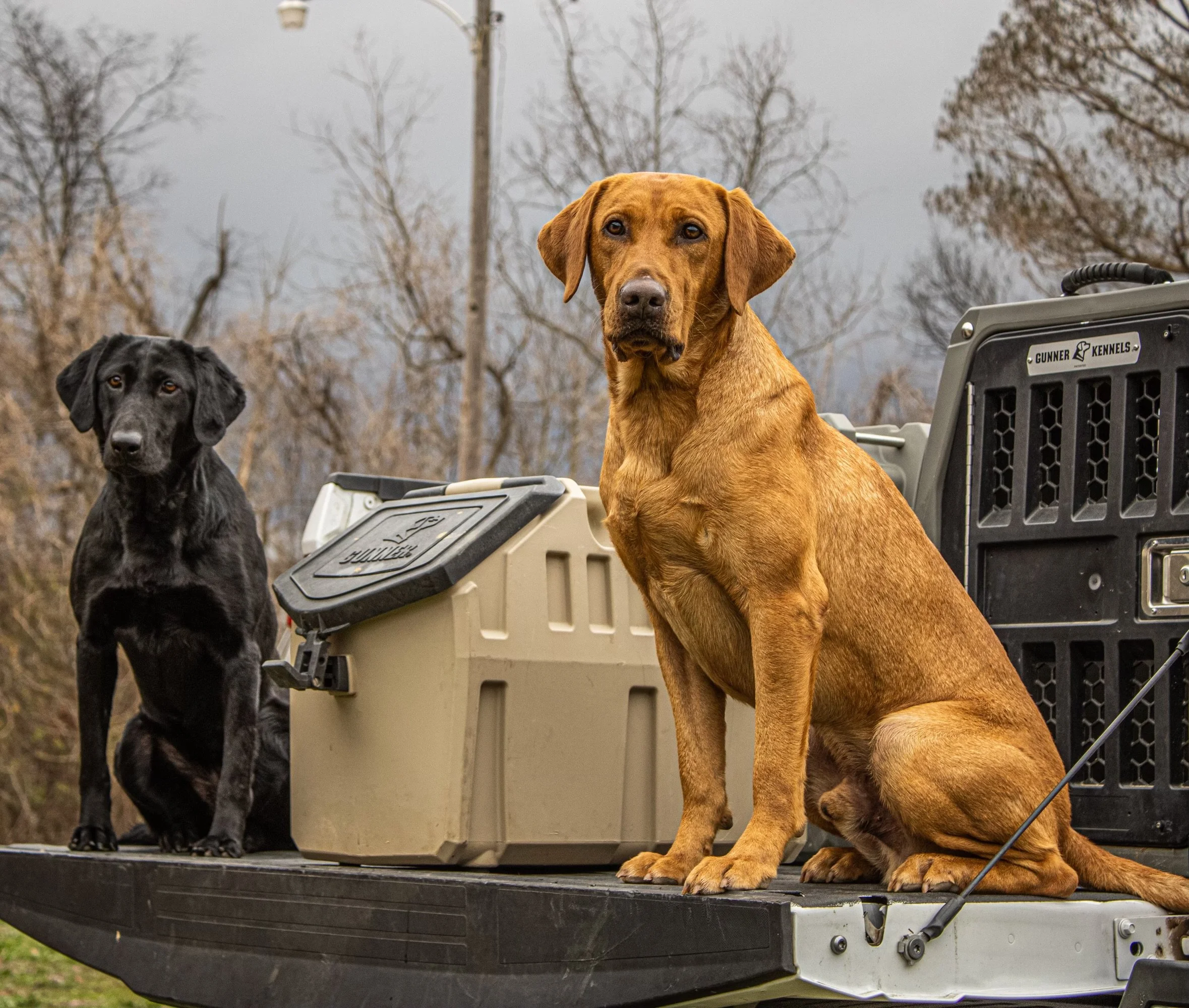 Photo Dec 28 2021, 1 41 06 AM.jpeg