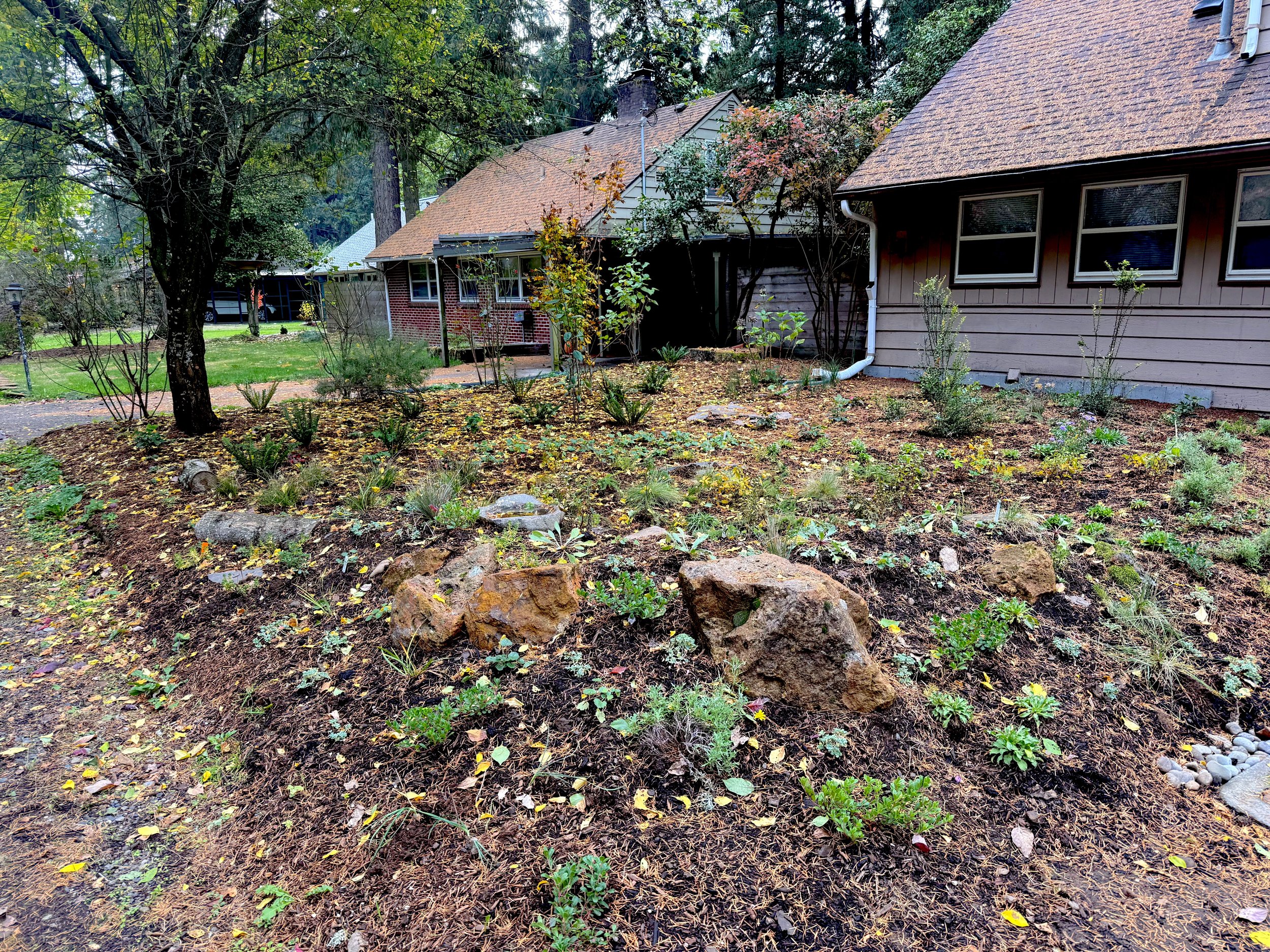 NE Portland Front Yard Design
