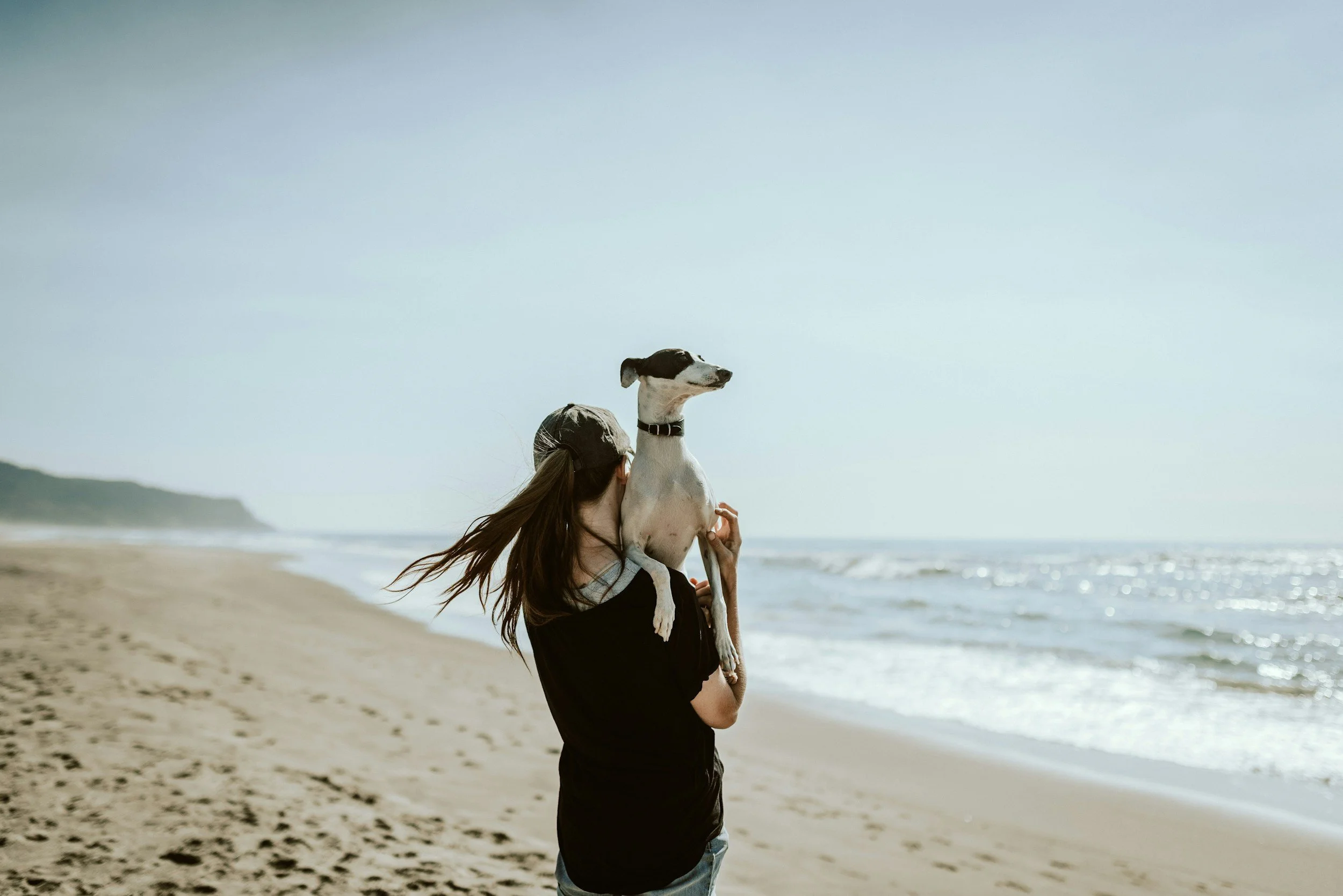 Fun Dog walks on Saint Simons Island by Glynco Pet Sitters