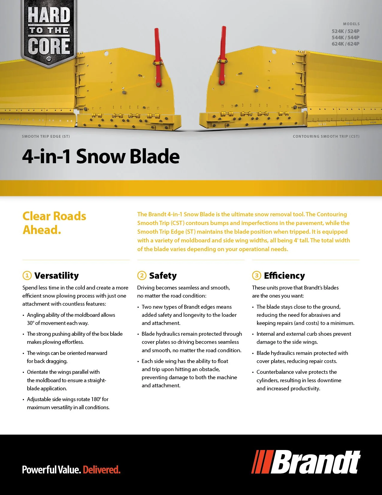 4in1SnowBlade-ProductSheet1.jpg