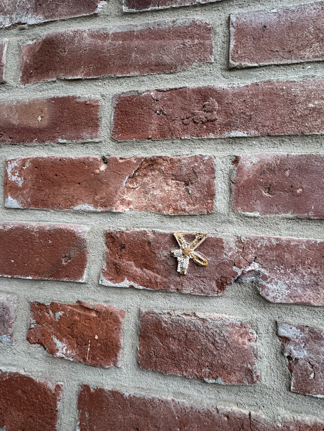 Screenshot 2026-01-07 at 7.05.36 PM.png