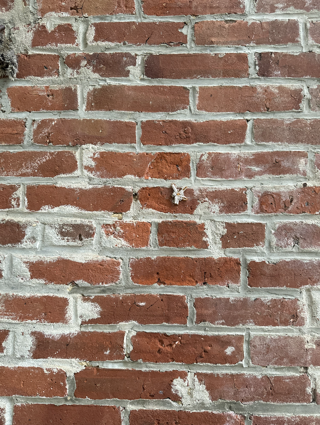 Screenshot 2026-01-07 at 7.06.04 PM.png