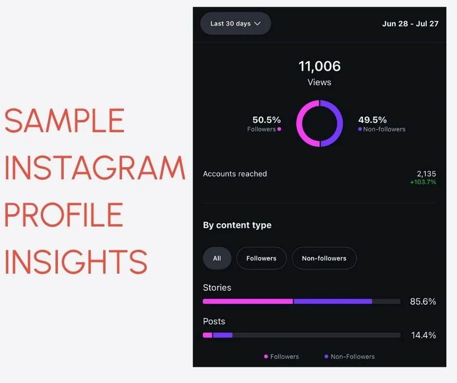 SAMPLE INSTAGRAM PROFILE INSIGHTS