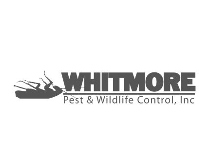 Digital Marketing Client Whitmore Pest Control