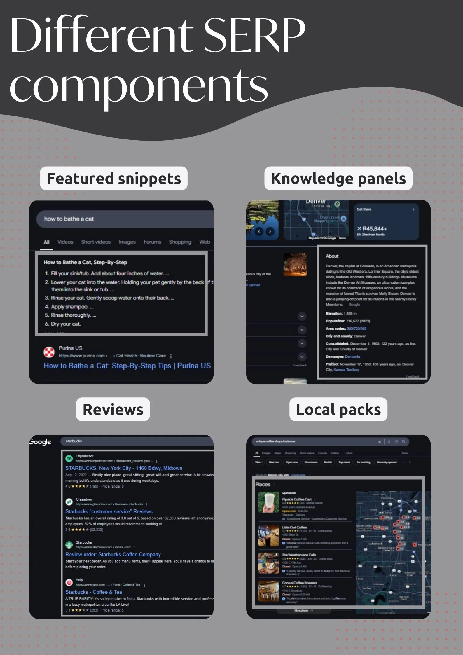 visual breakdown of different google SERP components