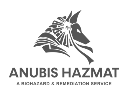 Digital Marketing Client Anubis Hazmat