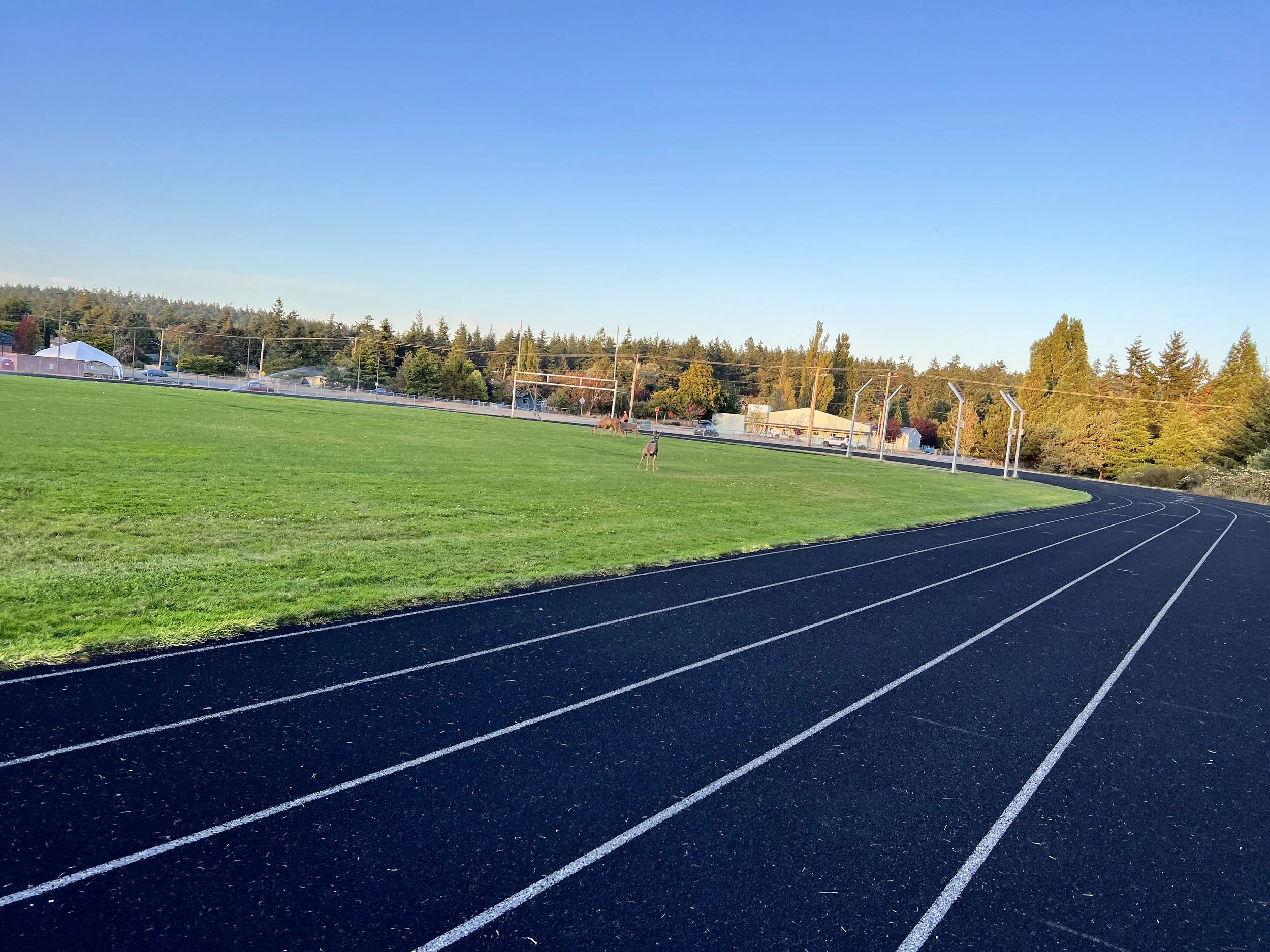 Elite Kitsap Performance Physical Therapy