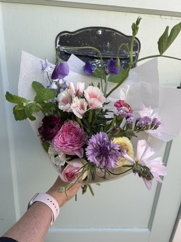 F3923912-2CAA-49AC-AD1D-5B6E1D7445C1_4_5005_c.jpeg