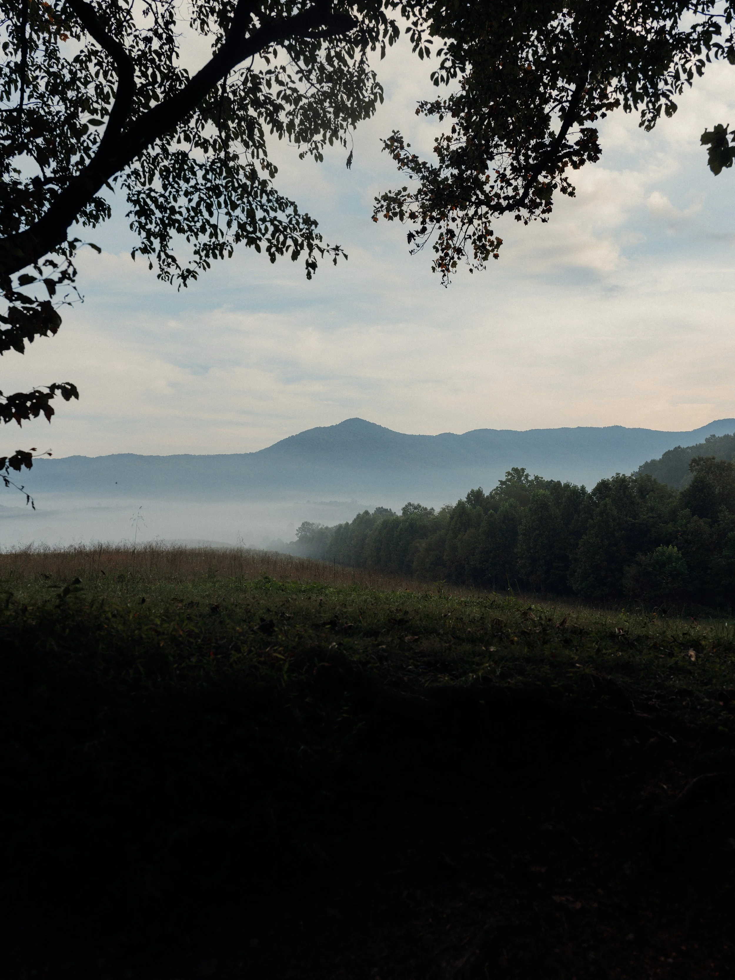 A landscape scene with dark silhouettes of trees in the foreground, fog covering the lower area, a range of hills or mountains in the distance, and a partly cloudy sky above.