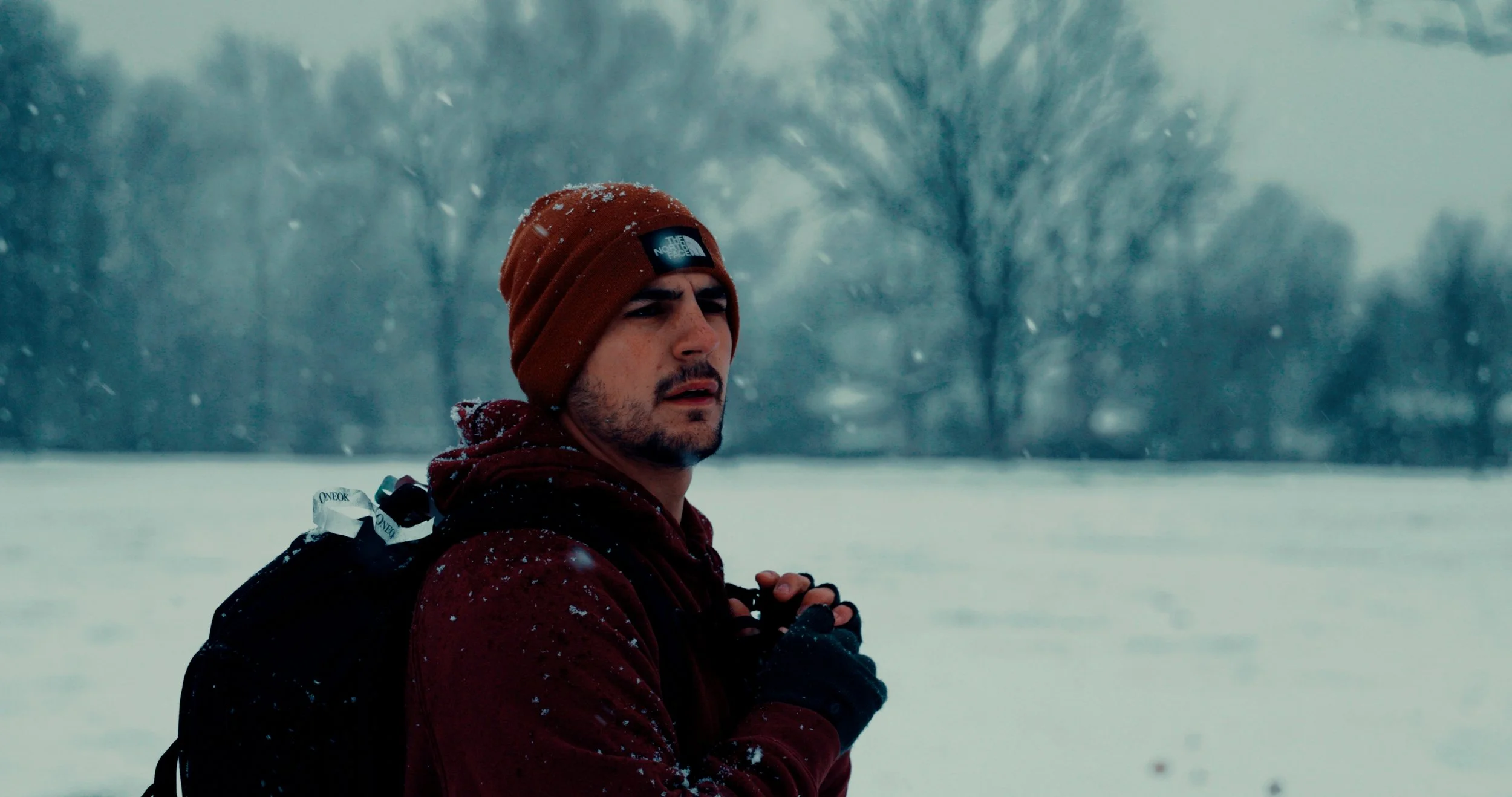 A man wearing a red North Face beanie and a red jacket outdoors in a snowy landscape, with snow falling and bare trees in the background.