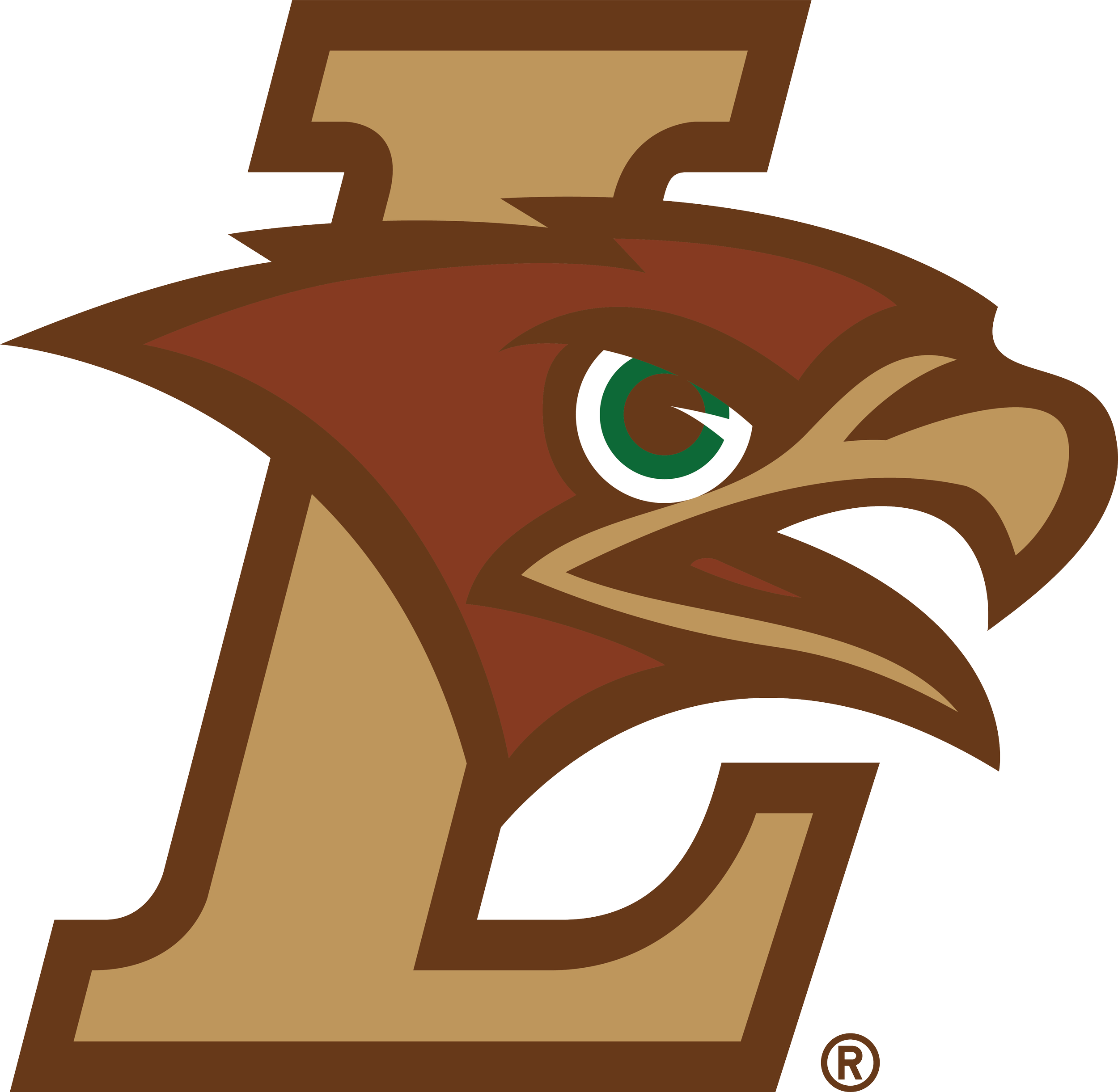 Lehigh Mountain Hawks Logo