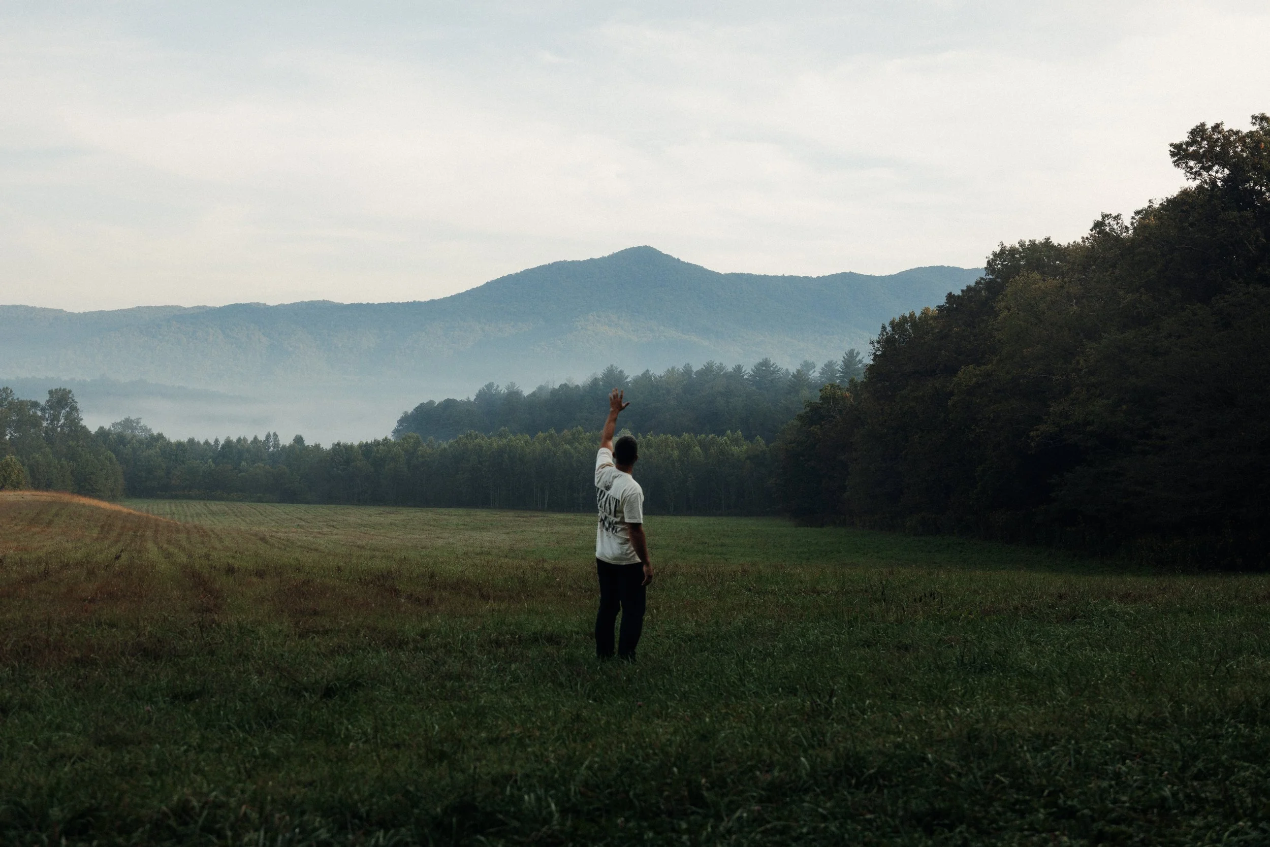 Person standing in a field waving at distant mountains, trees lining the horizon, overcast sky.